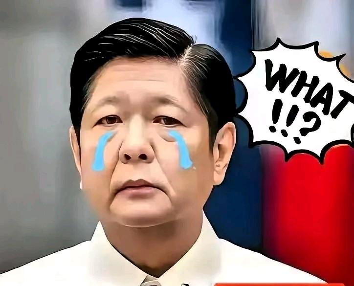 就在刚刚
菲律宾正式宣布
11月11日，菲律宾国家减灾管理委员会最新通报，台风“