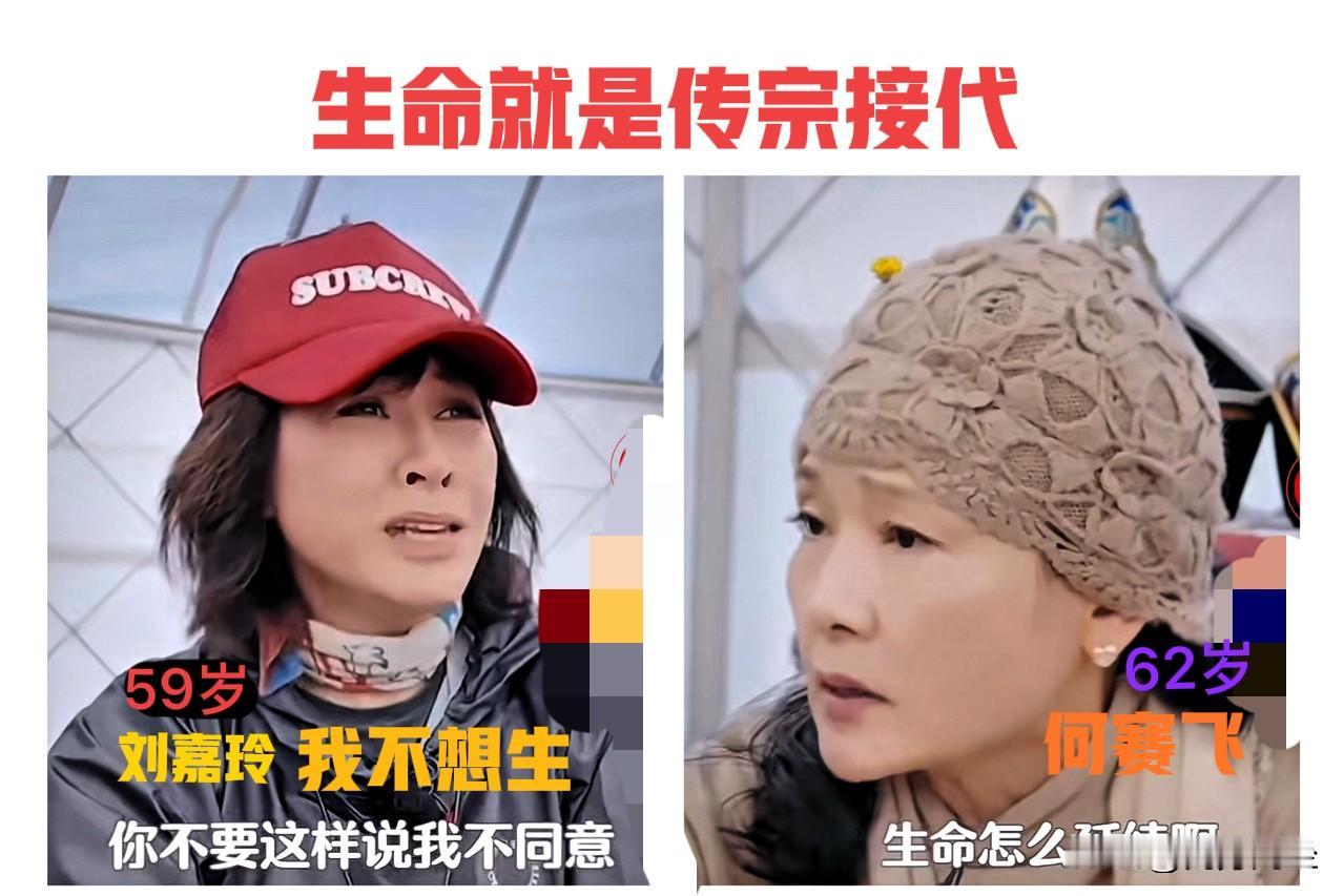 62岁何赛飞：生命需要传宗接代，59岁刘嘉玲表示反对。
何赛飞和刘嘉玲，两个人都