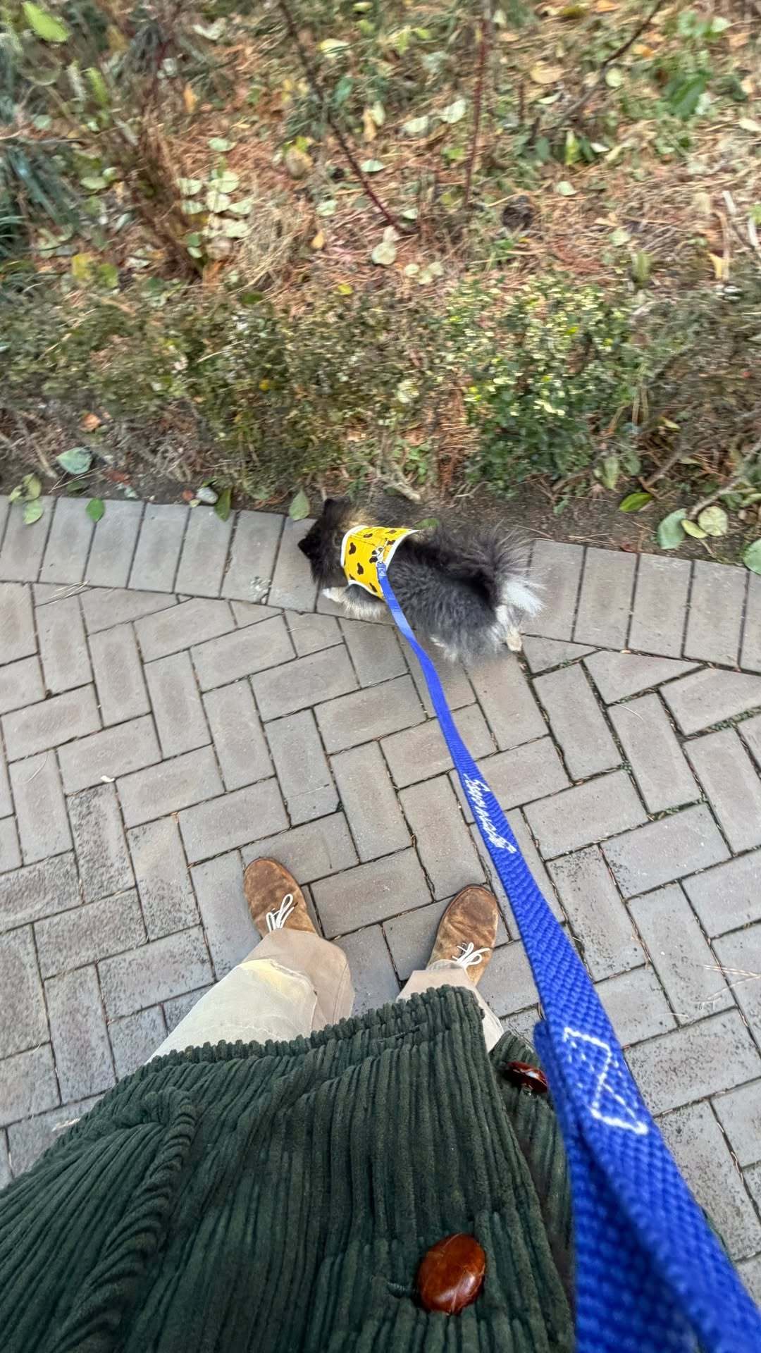 “CB百蓝_。251227金钟云 ins story更新： 