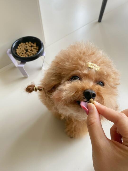 妈妈酱，即使夏天了我也不挑食哦！