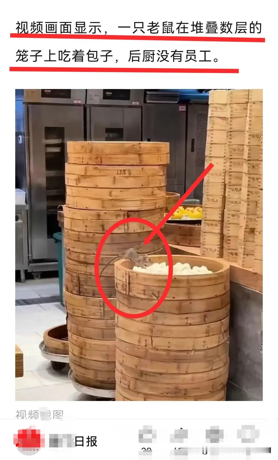 广州｜一只老鼠在蒸笼上吃叉烧包，你敢与它分享食物吗？某陶某居的知名品牌。
知名品