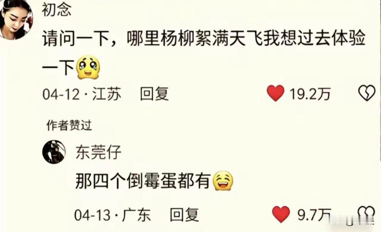 最怕梧桐树毛毛，直钻鼻子里，然后打喷嚏。