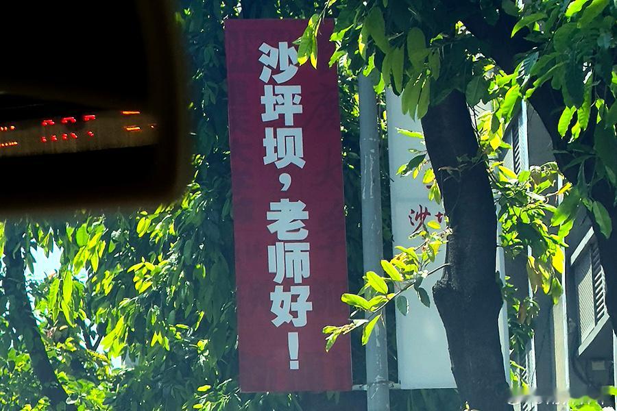 你好春天校园创作者计划 “ 沙坪坝，老师好！” 作为沙坪坝的老师好傲娇！[666