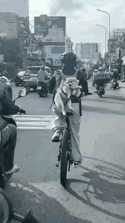 有了小狗狗，孩子都不想生了