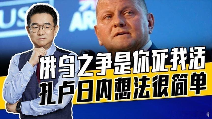 【扎卢日内或成接班人，认为击败俄是唯一出路，权宜之计不长久】来自