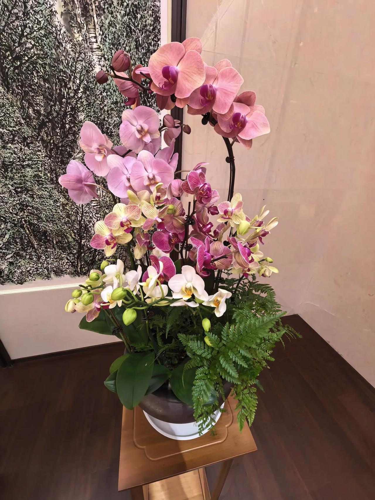 AI复盘：紫光股份A股今日走势情况及展望

一、今日走势：放量暴涨，盘中触及涨停