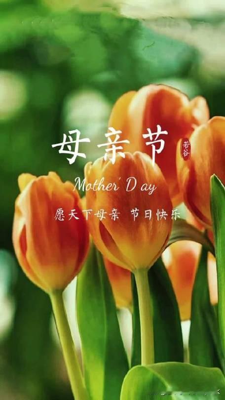 母亲节就要到了，看到别人在网上晒礼物、秀祝福的时候，心里既羡慕又遗憾，羡慕的是有