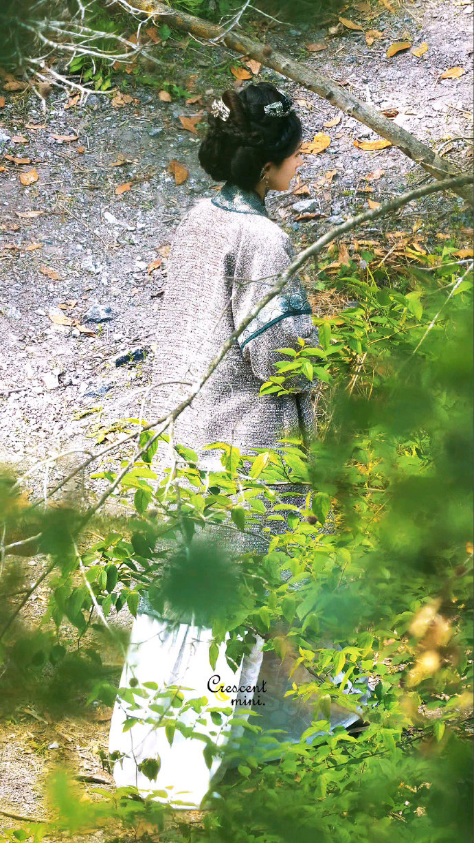 杨幂冯湮儿盘发造型杨幂冯湮儿盘发长袍端庄感 杨幂冯湮儿盘发长袍端庄感，杨幂冯湮儿