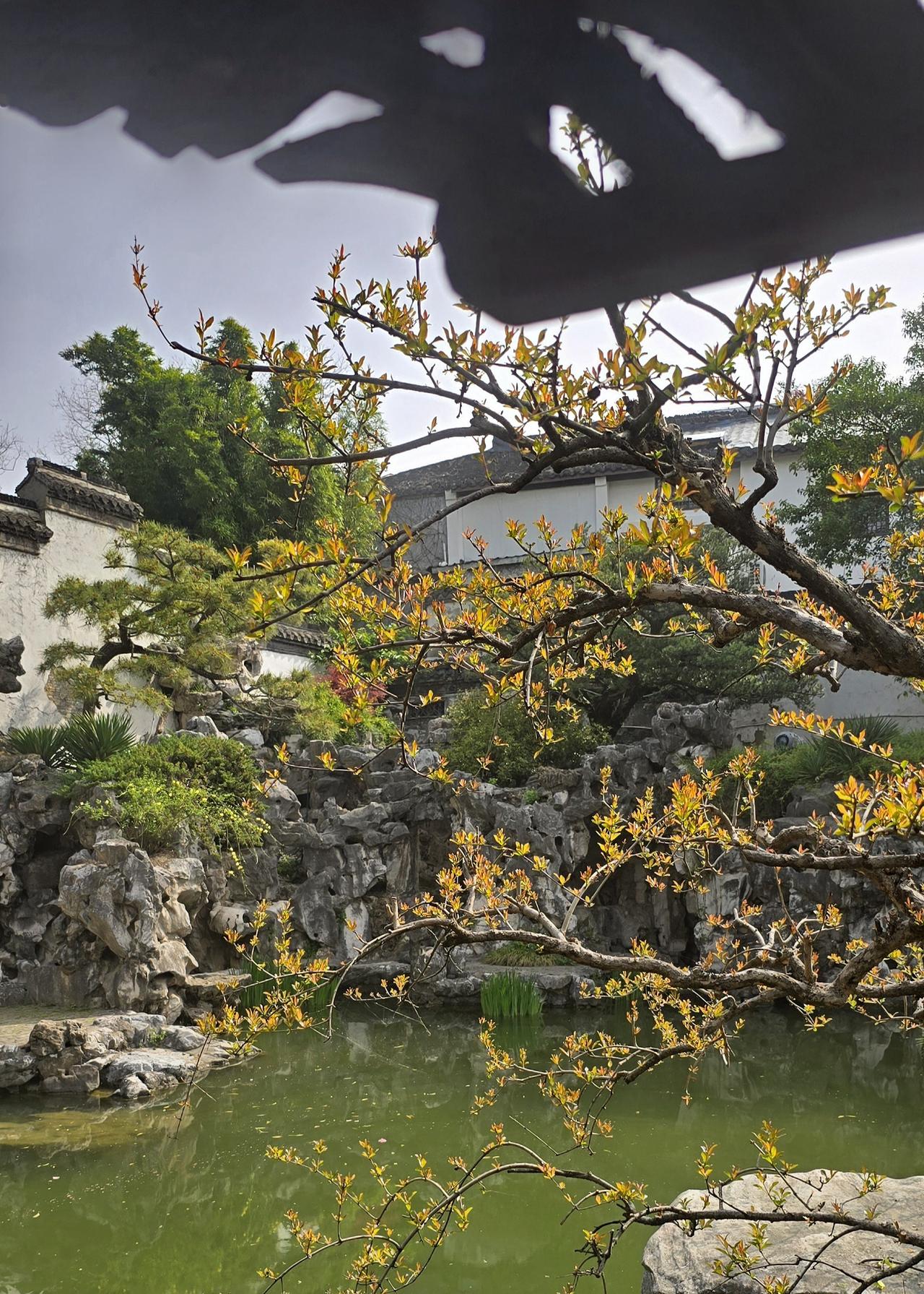 中国制造凭借前沿材料可在技术上领先西方工业