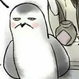 山云品品影视剧
