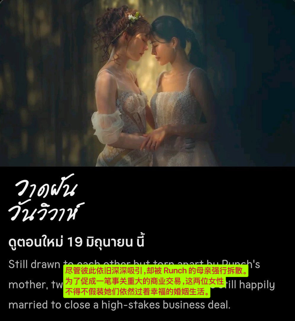 6月19日，染律来了。