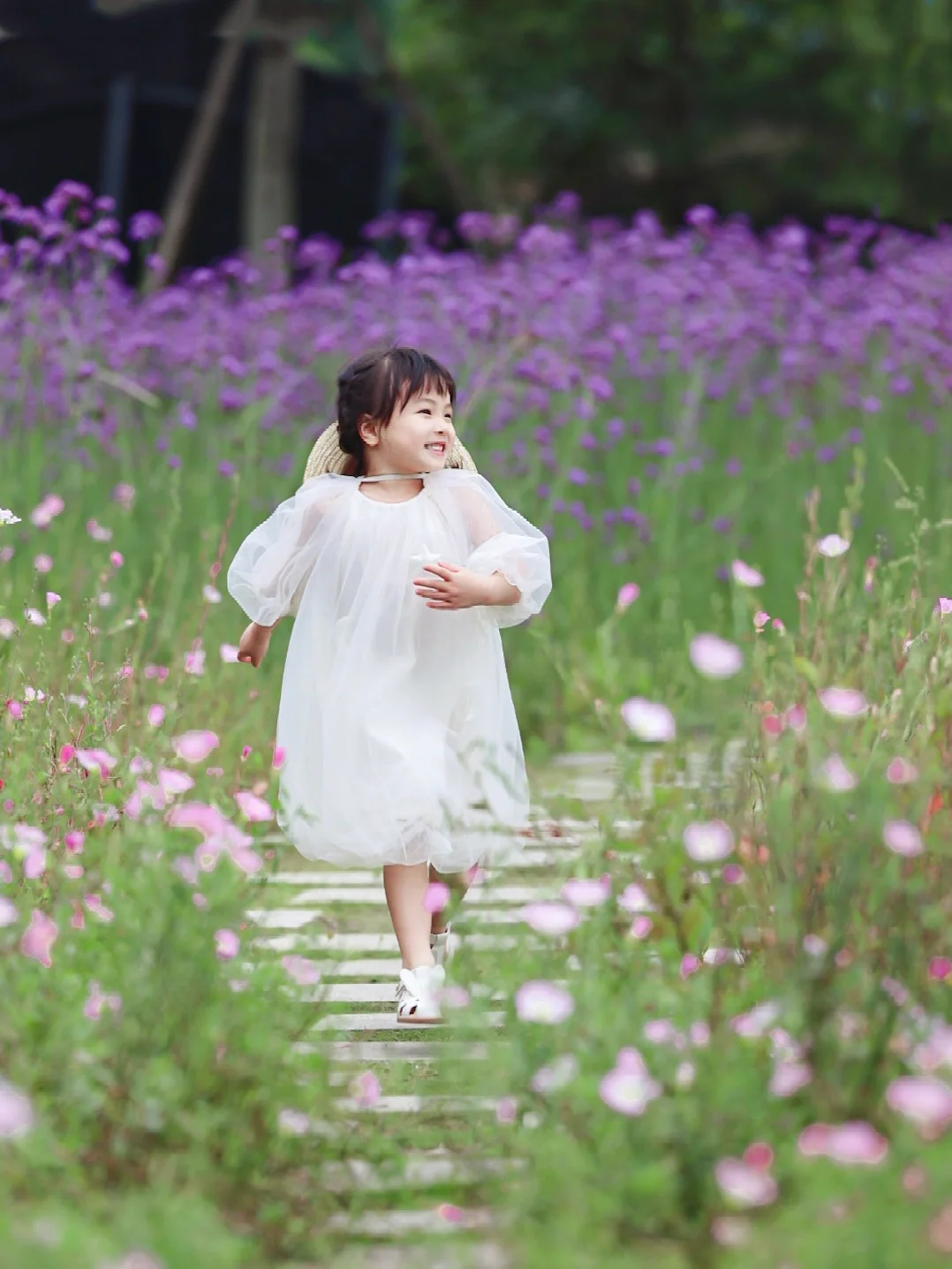 成都遛娃✅｜三环边邂逅一片浪漫的紫色花海～