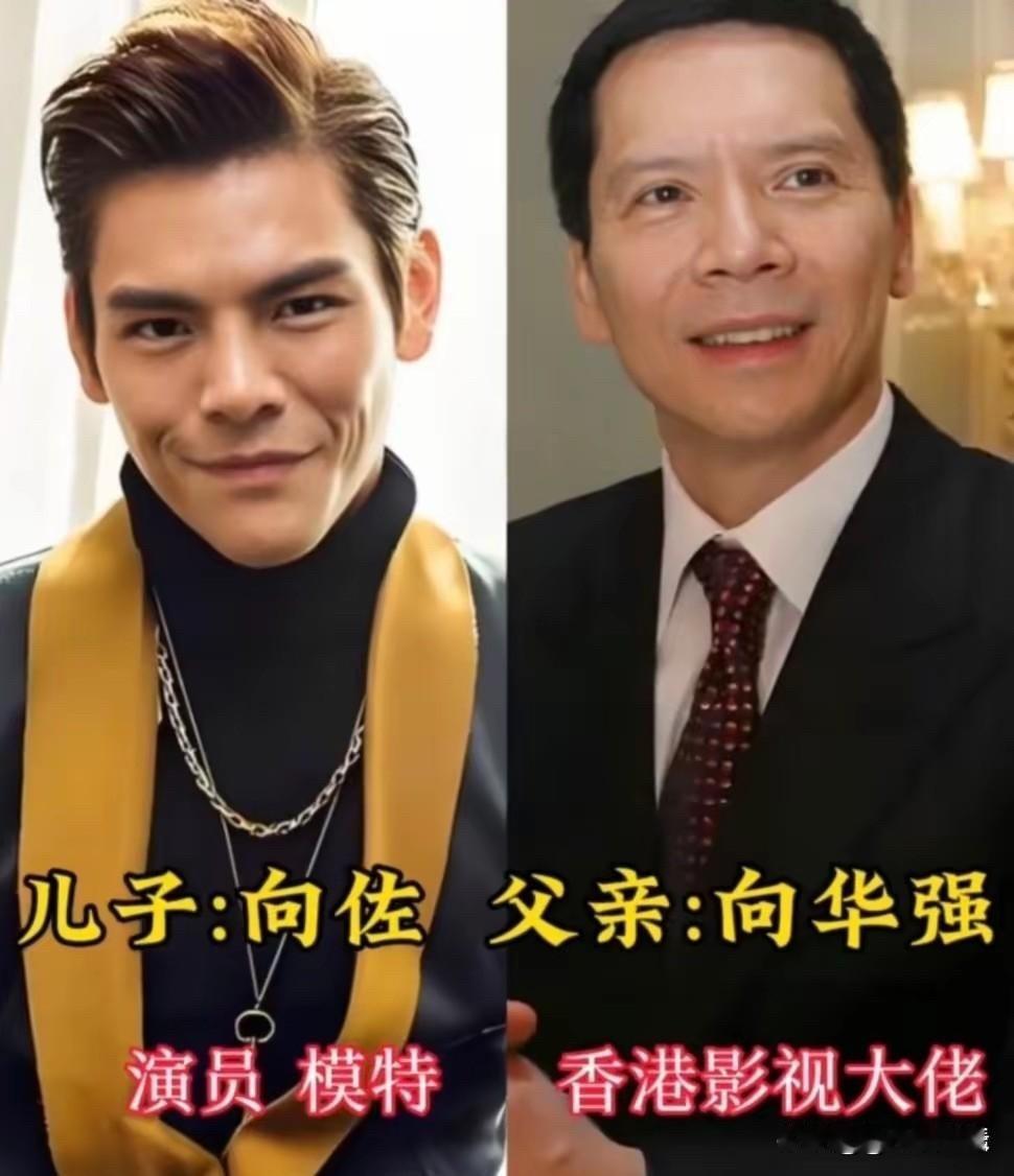 郭德纲、王健林、陈崇伟、林远翔、黄忠东、何鸿燊、郑东汉，七位星爸富爸和他们的明星