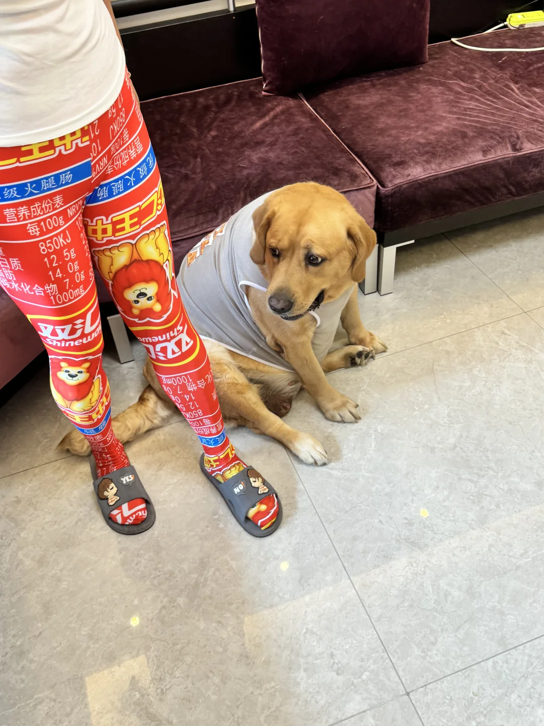 我妈没养狗之前不这么抽象的，现在怎么这样