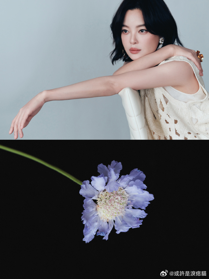 辛芷蕾溢出屏幕的生命力谁能拒绝笑得这么灿烂的辛芷蕾，那种鲜活又张扬的生命力，真的