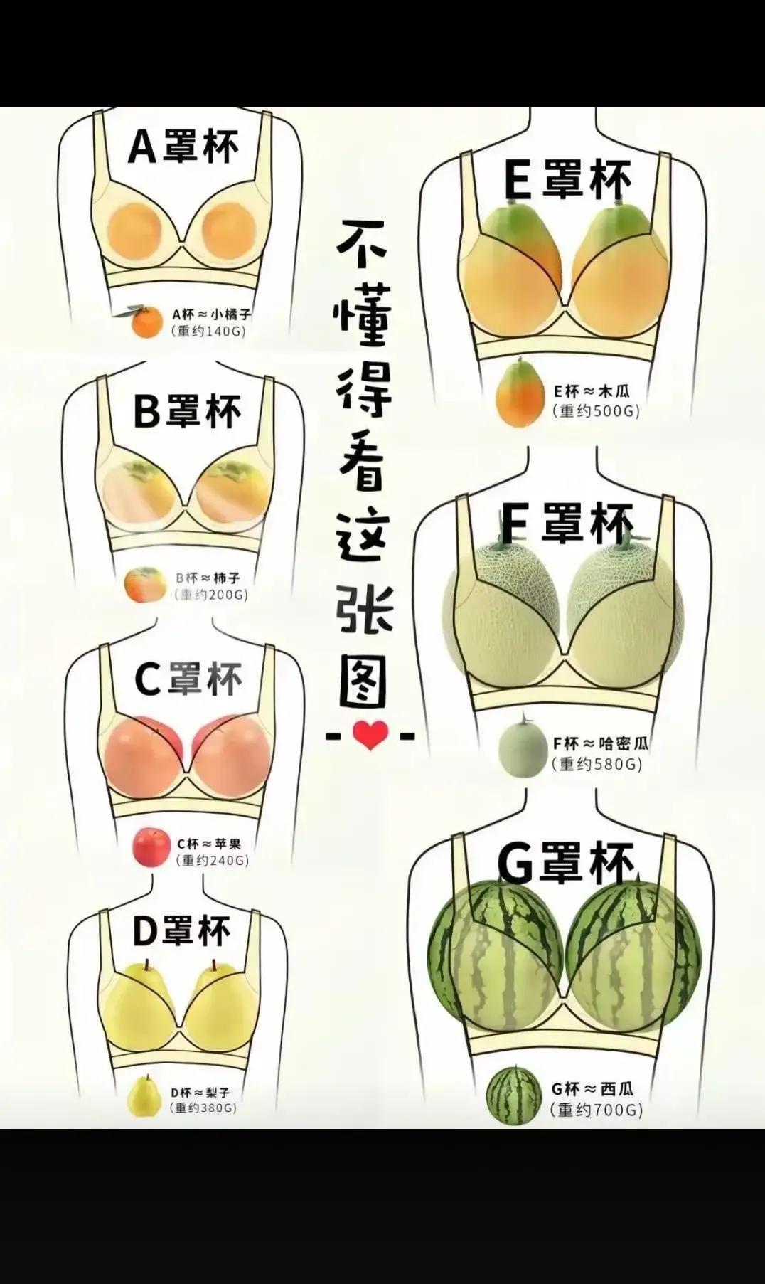 不懂的看这张图！！！！