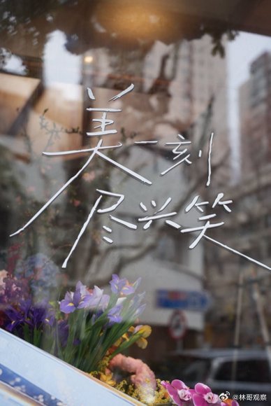 闪闪发光的她在安福路的梧桐树影里，藏着给都市女孩的“暂停键”。别让焦虑磨粗了你的