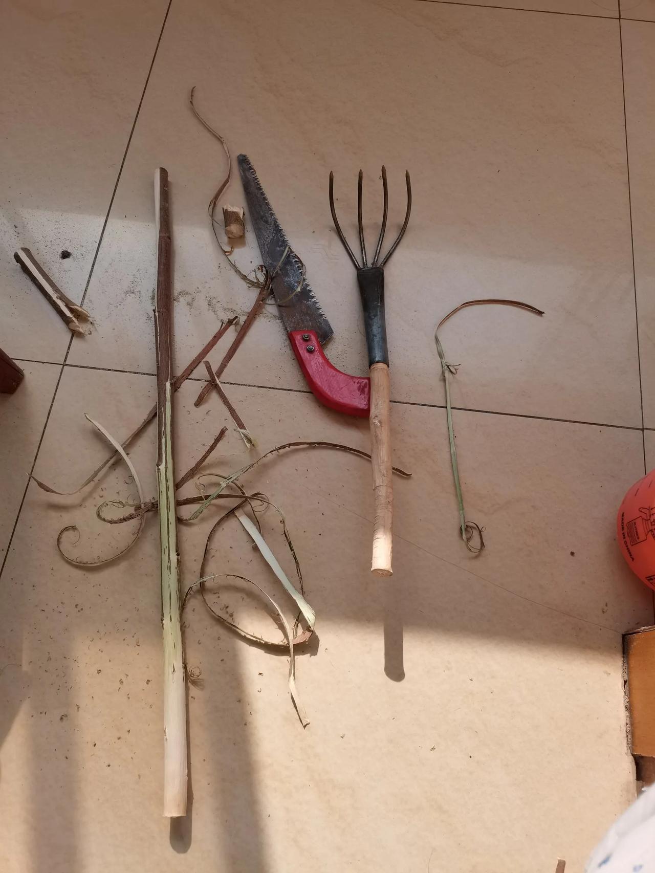 亲自动手制作收拾菜地的小工具，简直太有成就感了！

之前买了一个小耙子，种菜地的