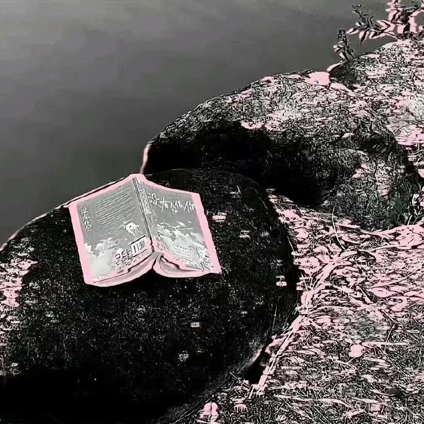 ʙʟᴀᴄᴋ ᴘɪɴᴋ 