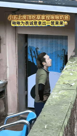 莽小五长得这么好看，小小的拿捏一下啾啾有什么关系呢？我倒是巴不得五阿哥天天虐我，