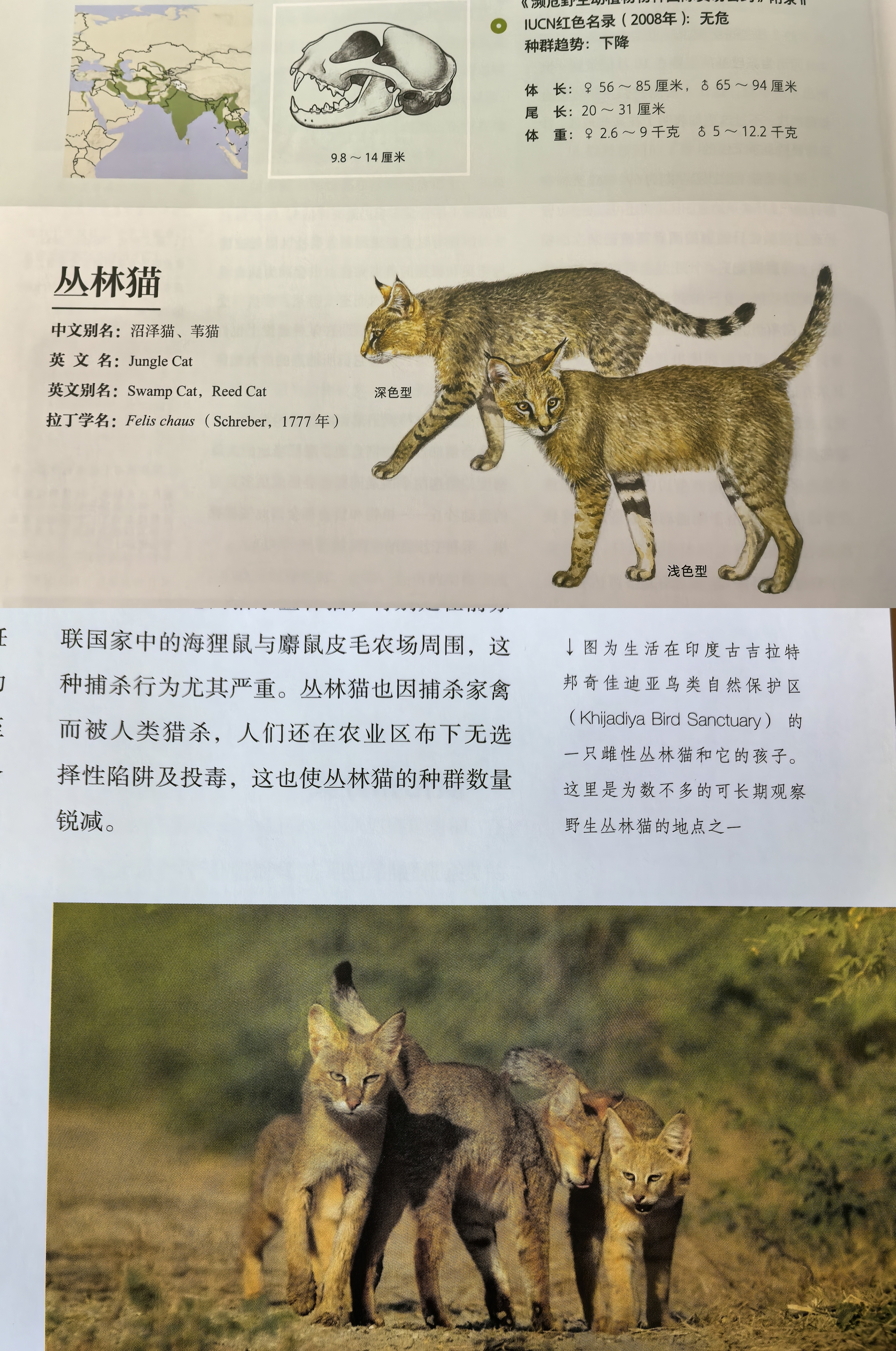 下雨天在不常来的房子里翻出好多书[笑cry]开始进行一个专业知识的学习～拼了一些