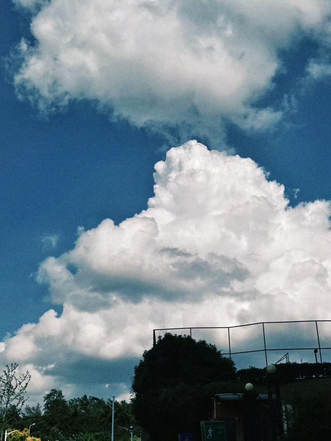 美丽的☁️我在2025年