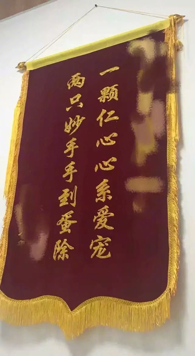 哈哈哈哈哈哈哈宠物医院里的锦旗都被玩坏了治我猫病，救我狗命 ​​​