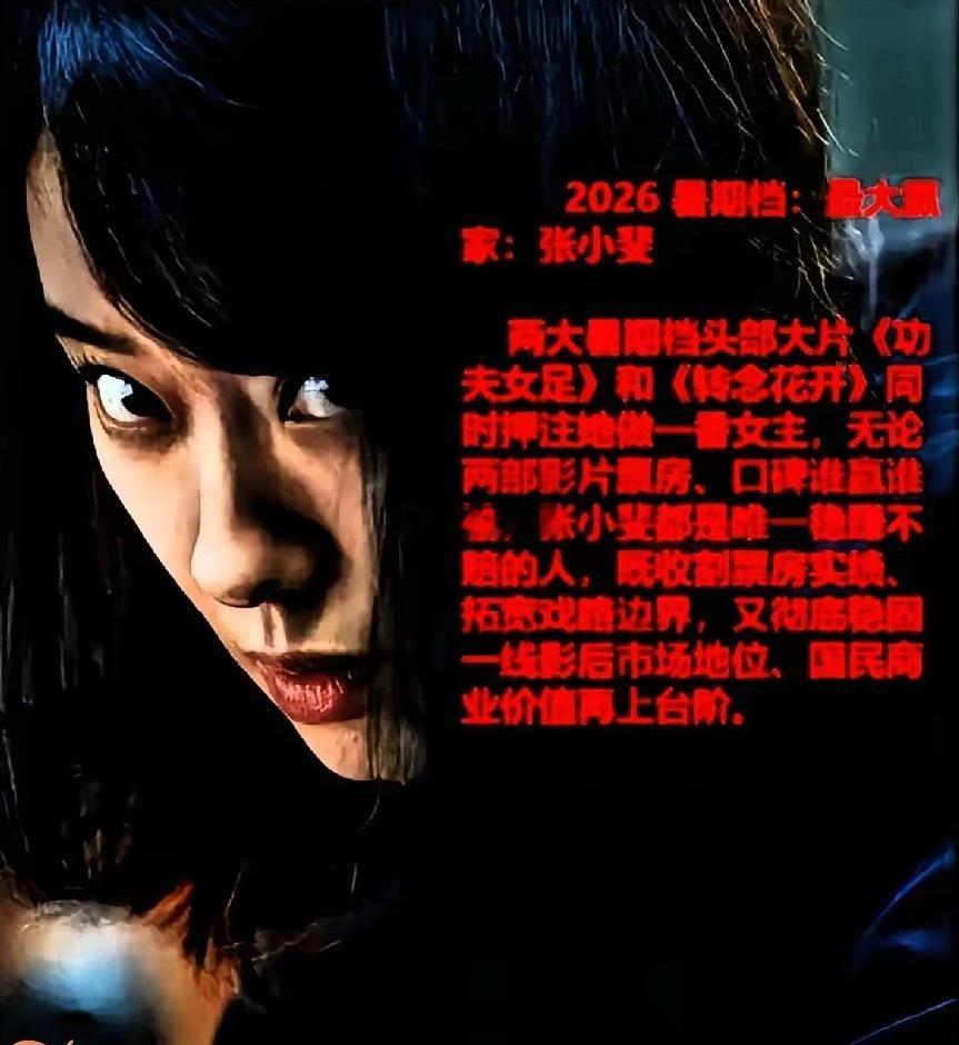 张小斐签订《功夫女足》零片酬。零固定片酬≠没有收入，她签订的是票房阶梯分成协议：