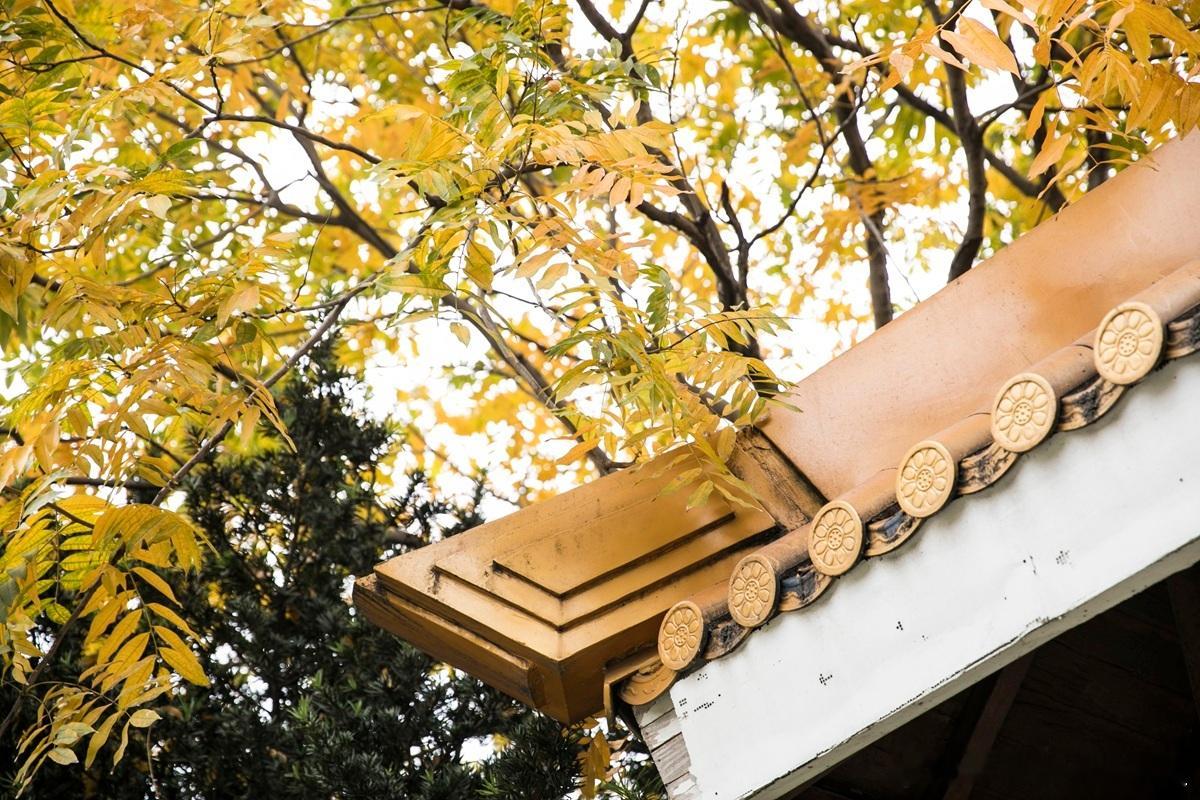 为什么投资人喜欢投有成为头部企业的项目呢？因为这样能能够有效降低投资风险，获得很