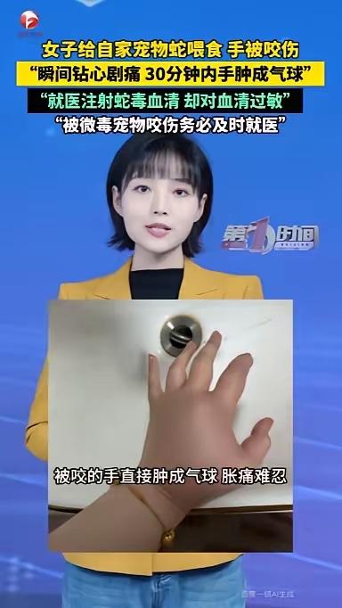 太离谱了！江苏一女生在家饲养了一条宠物猪鼻蛇，却因疏忽连续三四个星期没有给蛇喂食