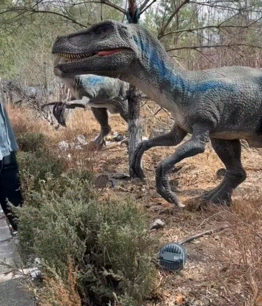 笑不活了，一男子在户外游玩时，途中便看到了路边一只恐龙模型在那机动的“嗡嗡”大叫