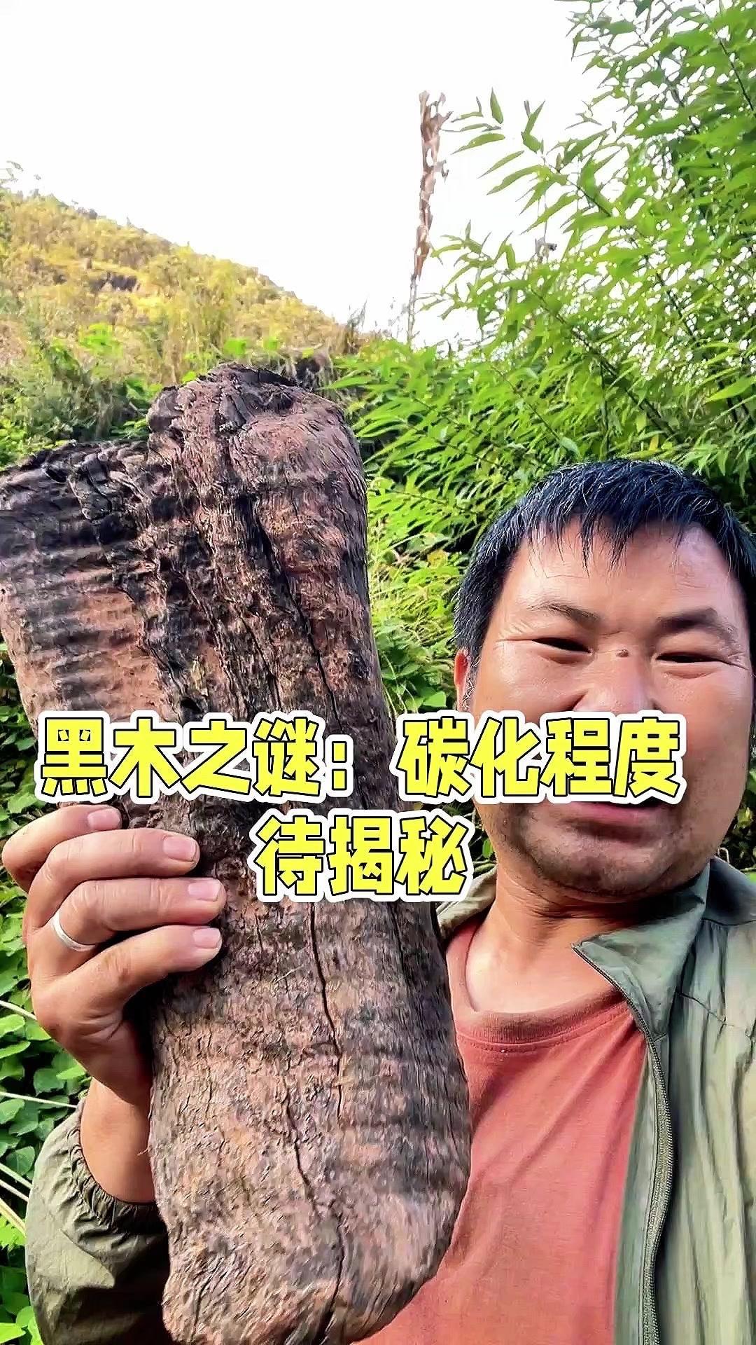 挖了块神秘黑木头！在河边发现块黑色木头，看着有点碳化，拿在手里特别沉。表面有水波