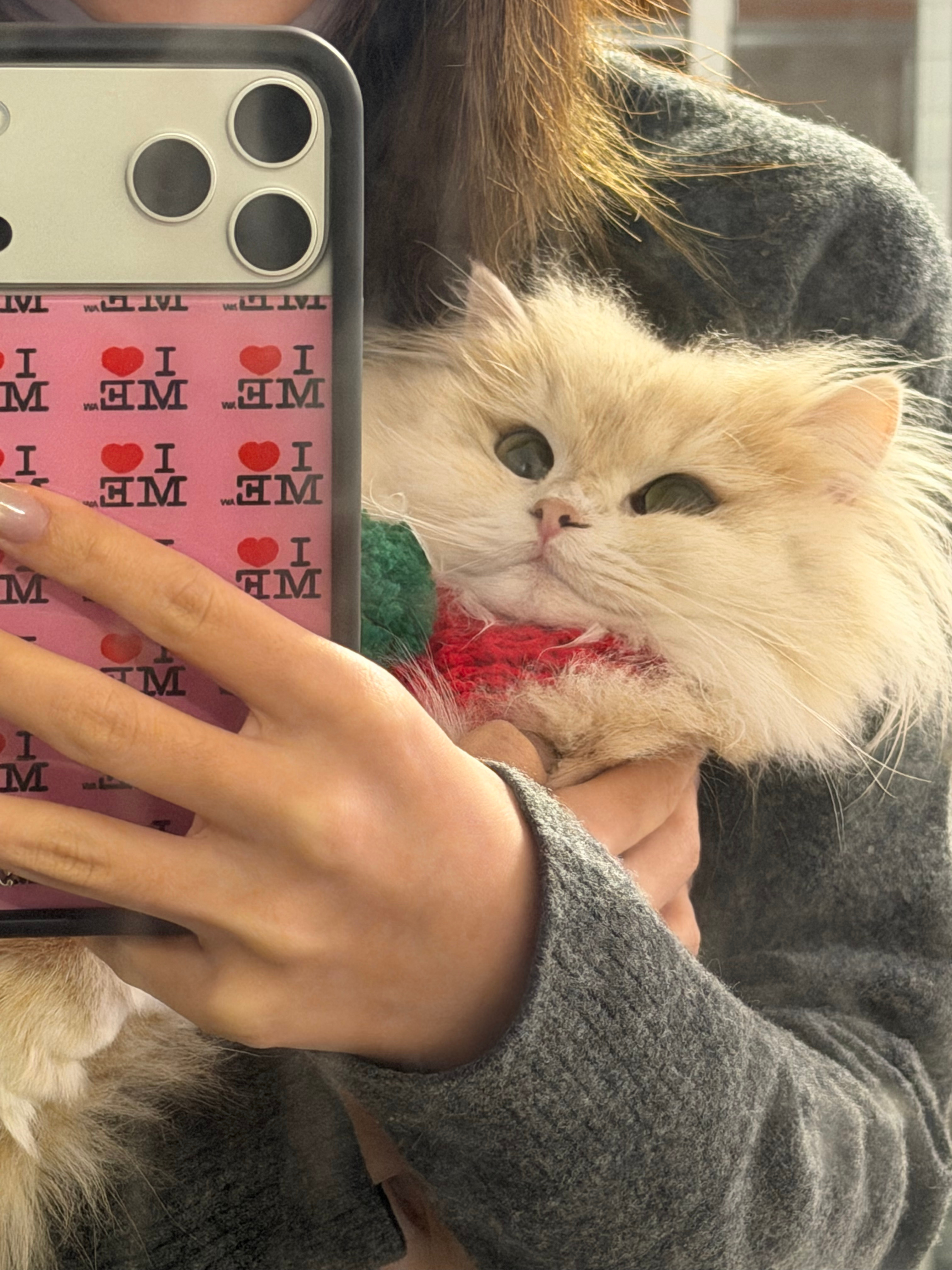 圣诞快乐😗😗 