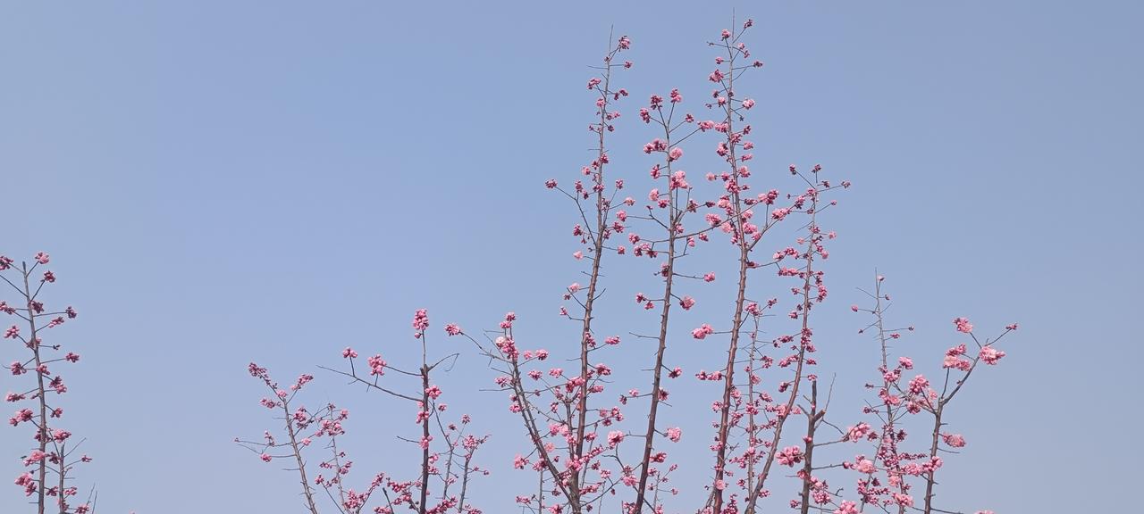 西班牙称霸全球大概100年，荷兰撑了50年，英国长达130年，从二战结束开始，美