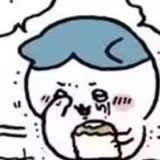 微博崩了都说不能发图了，试了一下ios正常。 