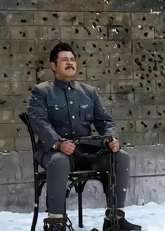 吉鸿昌被害牺牲以后，他的妻子胡红霞卖掉所有的资产赎回了尸体，不经意间发现丈夫口袋