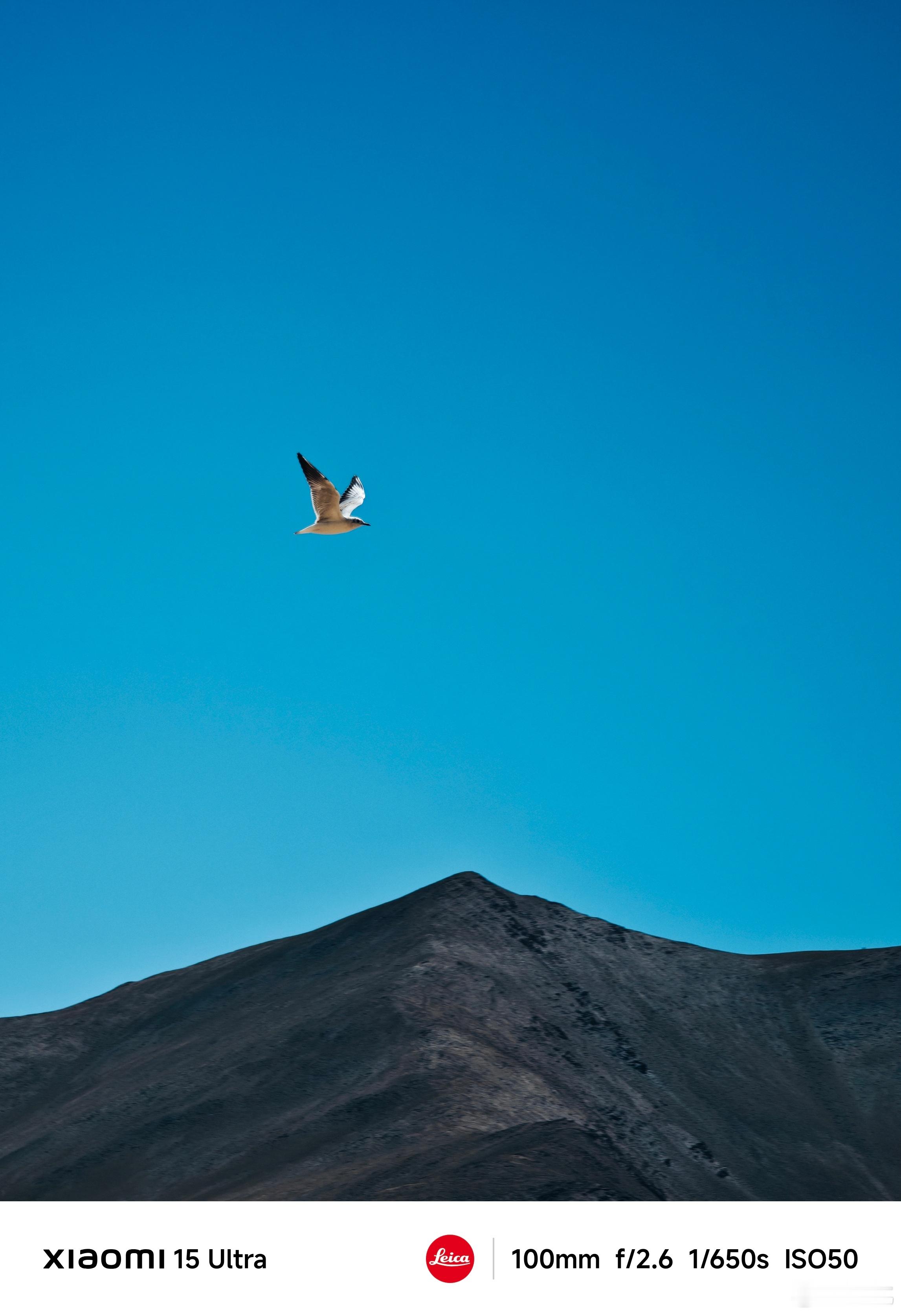 每天早起打卡早上好