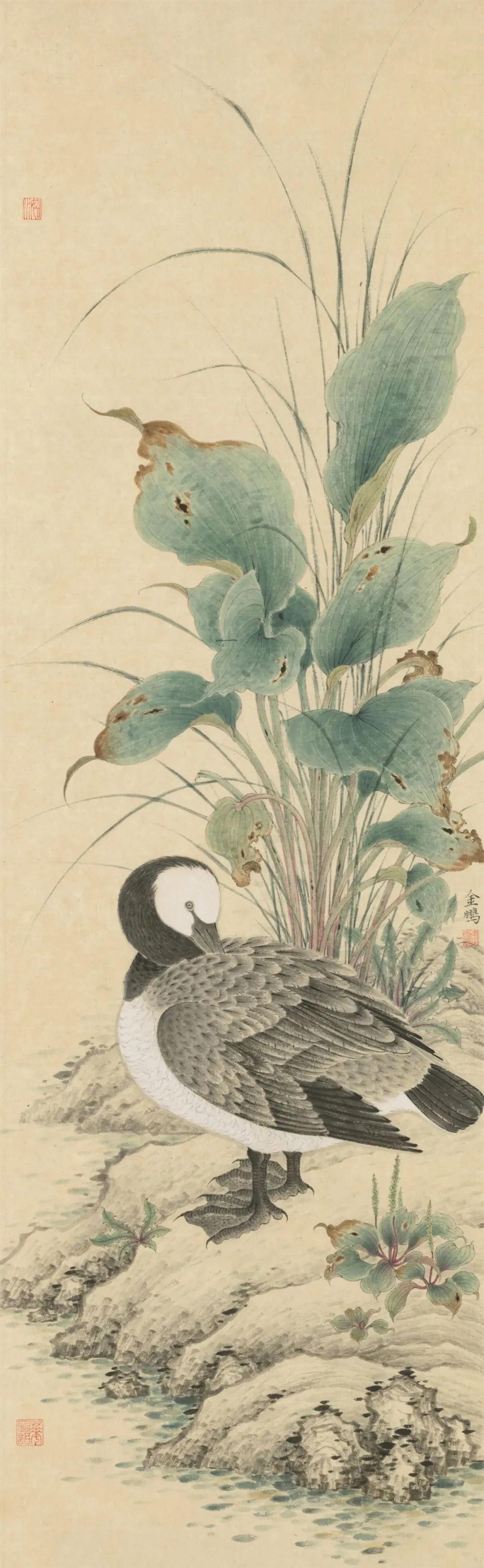 丑小鸭