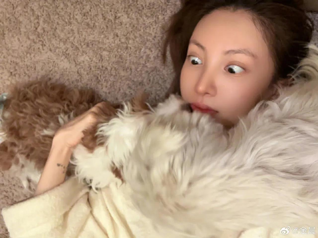 金晨和狗狗的合影好可爱啊！这眼神太绝了，给人一种活泼的氛围感，这也表现了明星私下