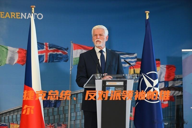 捷克政坛连环斗再续：总统与总理协议：总统代表捷克参加北约夏季峰会，外交部长马钦卡