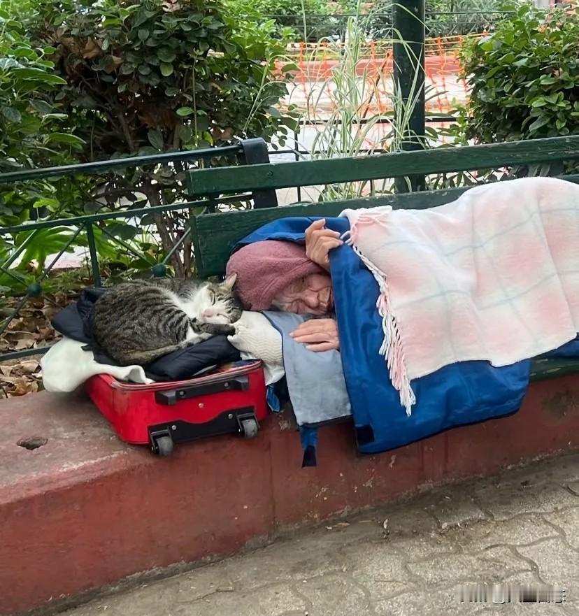 她辛苦养大四个儿女，晚年却无家可归：没有退休金的父母，活该被嫌弃吗？

养大一个