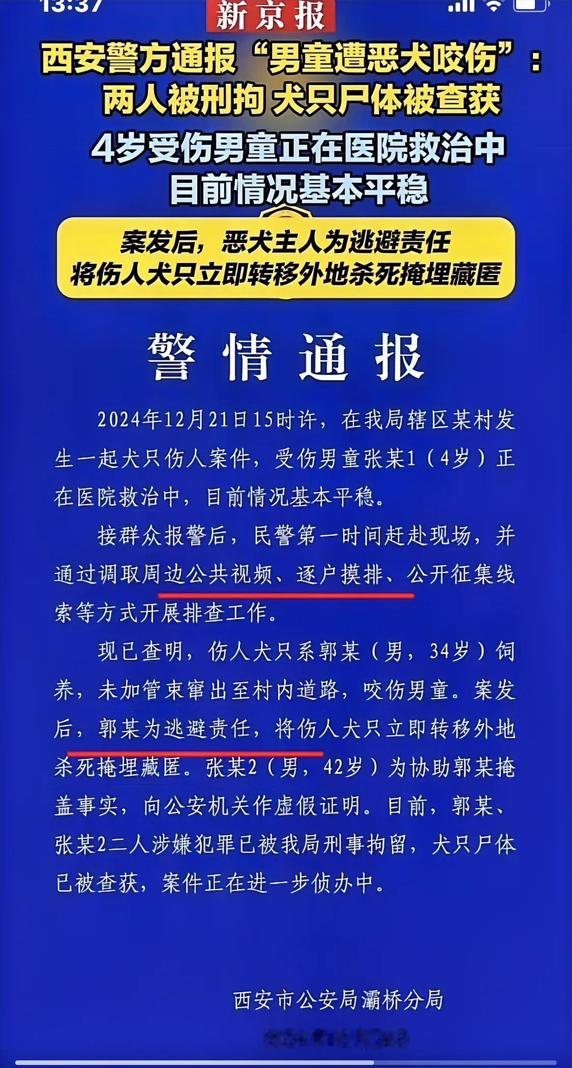 大快人心，两个犯罪嫌疑人终于抓住了，咬人的狗是34岁的郭某所养，事发后为了逃避责