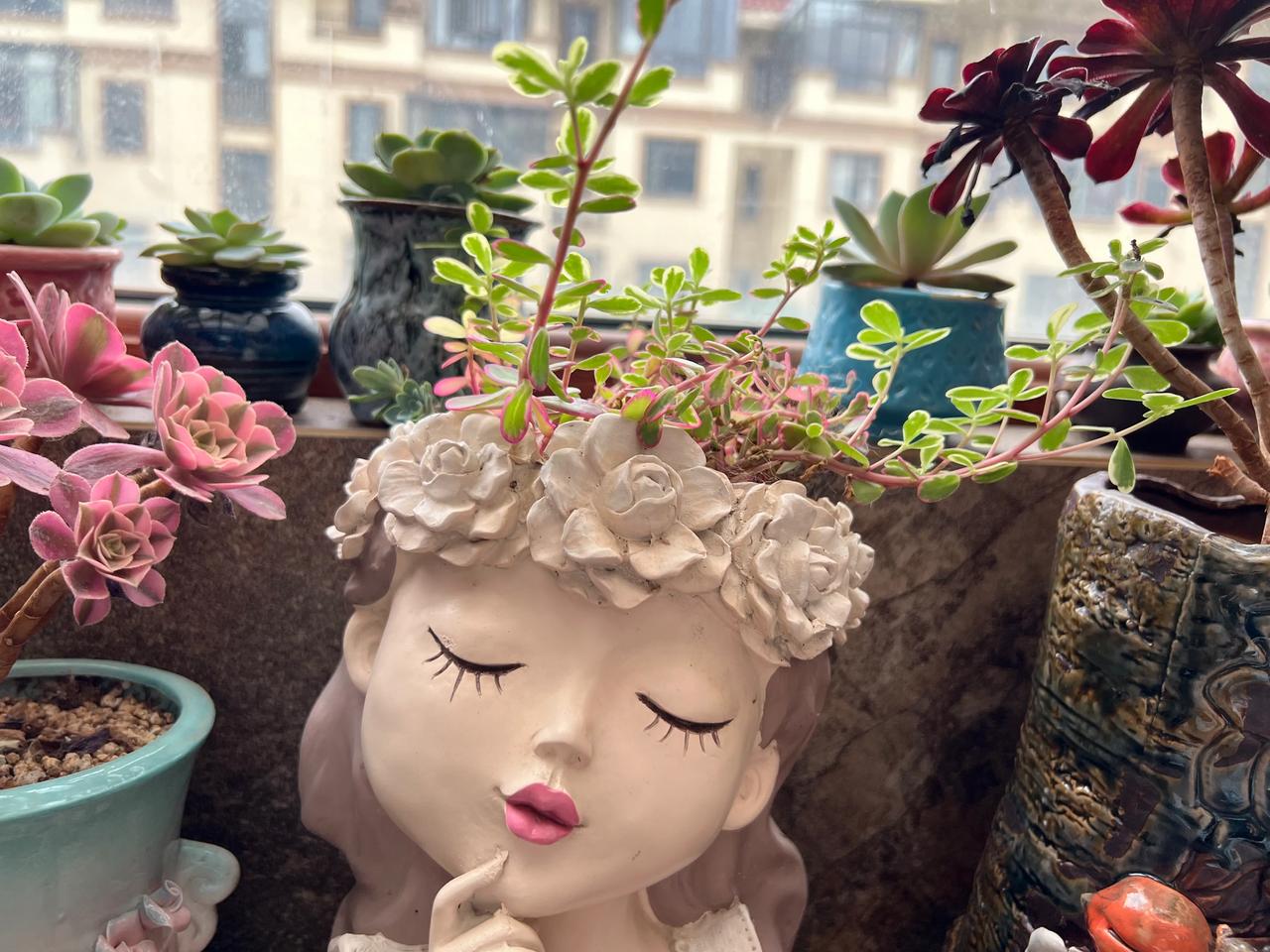 夏天的多肉不敢要求太多，健康的活着就好。所以没状态的时候都没了拍照的欲望[捂脸]