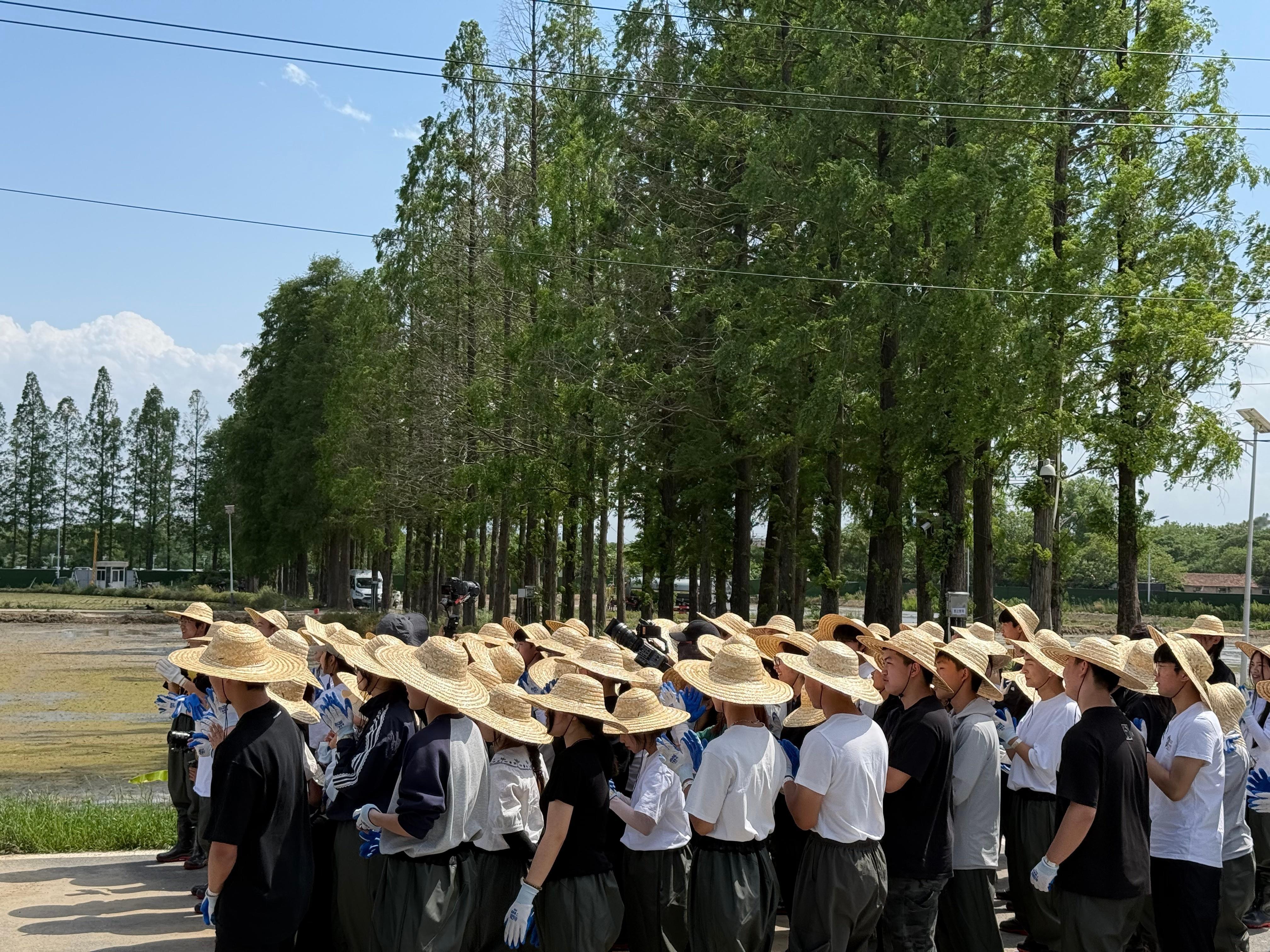 种地吧 🌱种地吧五一插秧日plive🌱种地吧行行出状元插秧日插秧🔛，期待丰