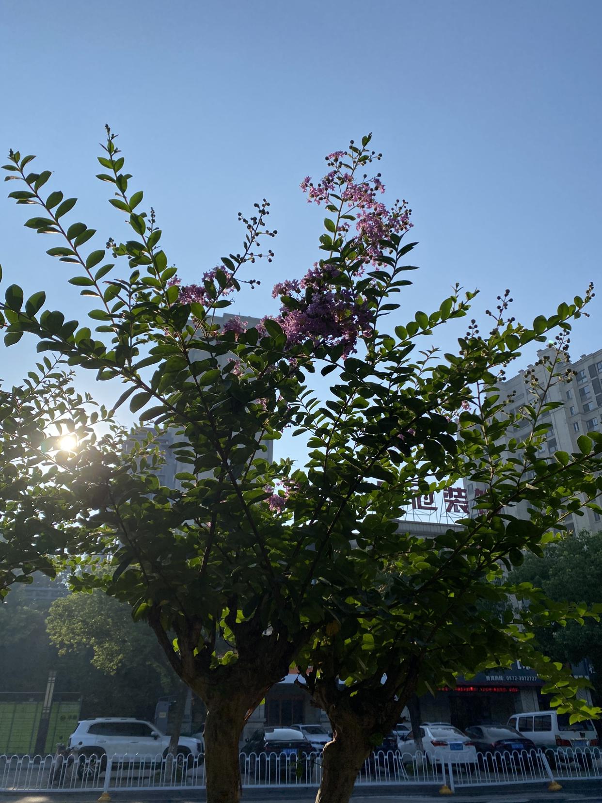 我的今日状态：😁轻松愉快
我这里的天气：☀️晴天