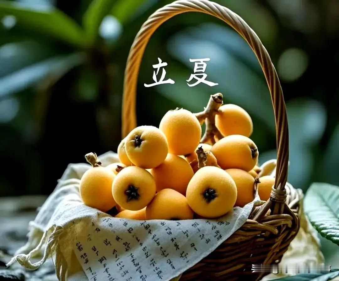 “绿阴铺野换新光，薰风初昼长。”时间过得真快，今天我们正式迎来了二十四节气中的立