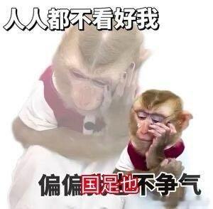 #范志毅怒斥国足#这个范志毅是谁呀？我没看过足球不太清楚，我就看这热搜上日本7：