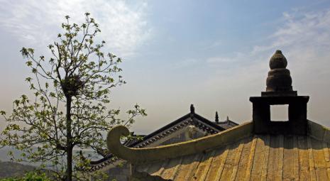 湖北高考作文高频主题：3大方向吃透，避免跑题丢分
湖北高考作文每年都有规律可循，