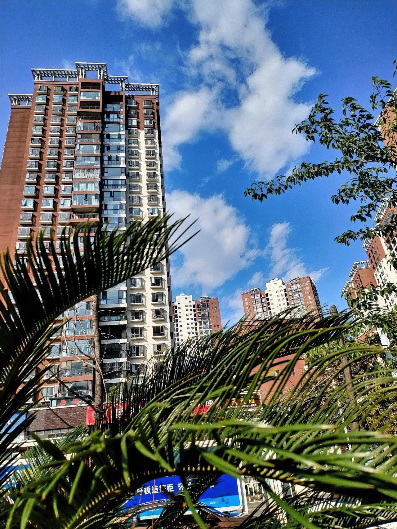 街边的花朵上挂着晶莹的雨珠，犹如一颗颗璀璨的珍珠，让花朵显得更加娇艳欲滴。行人的