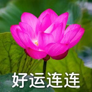 AI正在悄悄偷走你的思考能力AI确实高效便捷，但别全盘照搬，保留自己思考才不会被